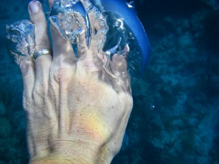 Underwater photo art