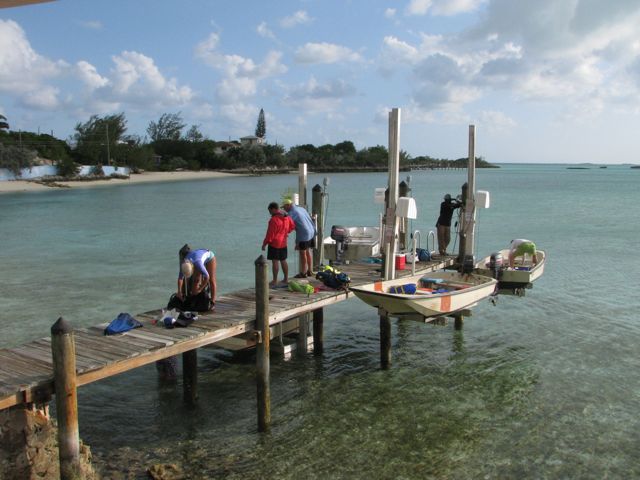 Returning from the day's adventures