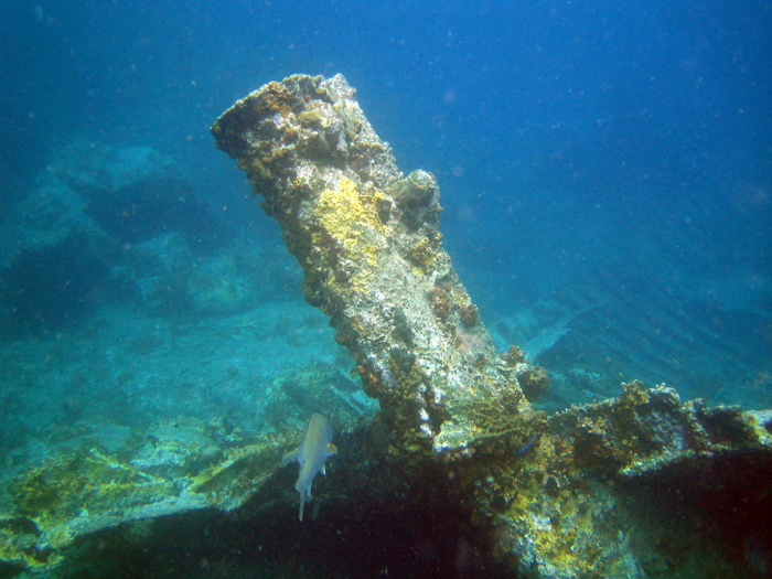Stern of the Rhone