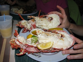 The perfect dinner at Sydney's