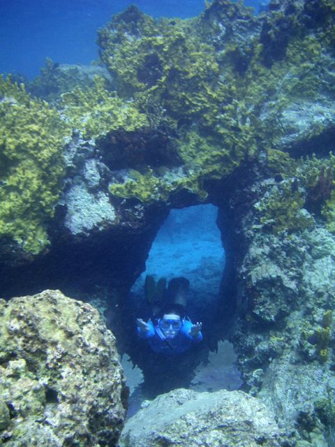 Heather in the tunnel