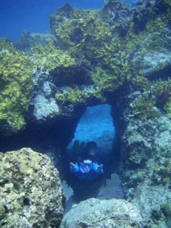 Heather in the tunnel
