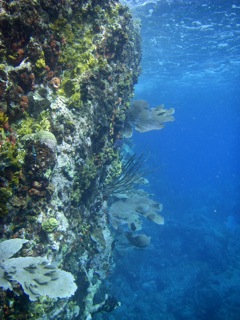 East-side wall at the Indians