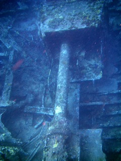 Prop shaft and gearbox