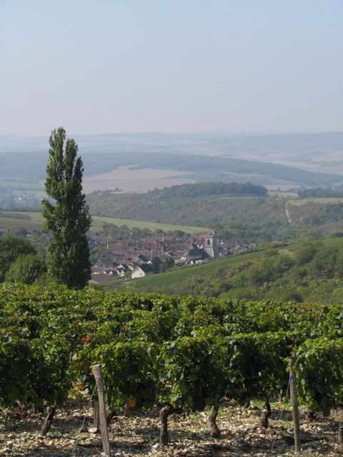 Overlooking Irancy