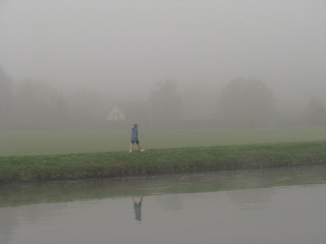 Suki on her morning walk