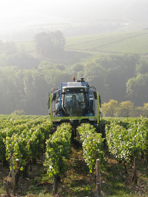 Mechanical grape picker/shaker