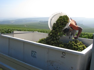 Adding another 70 kilos to the pile