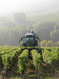 Mechanical grape picker/shaker