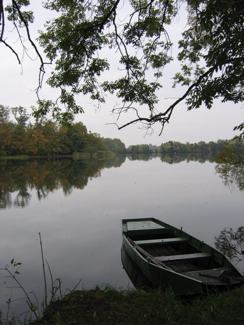 &Eacute;tang de Mittersheim