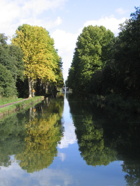 Le For&ecirc;t d'Osthouse