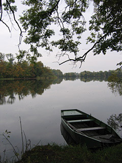 &Eacute;tang de Mittersheim