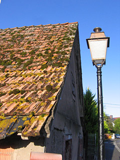 Terra Cotta Roof