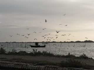 Early morning fishing