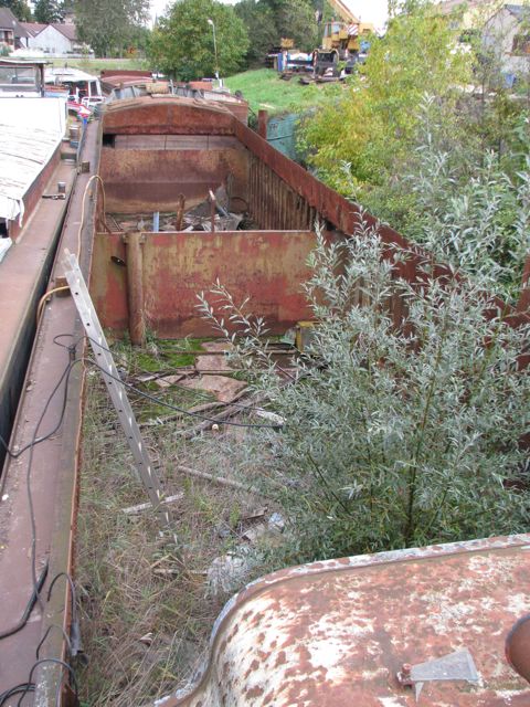 Affordable, but too big (125 feet) and we'd need a permit to cut down the trees growing in the hold