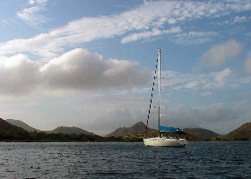 kc_corail_whitehousebay