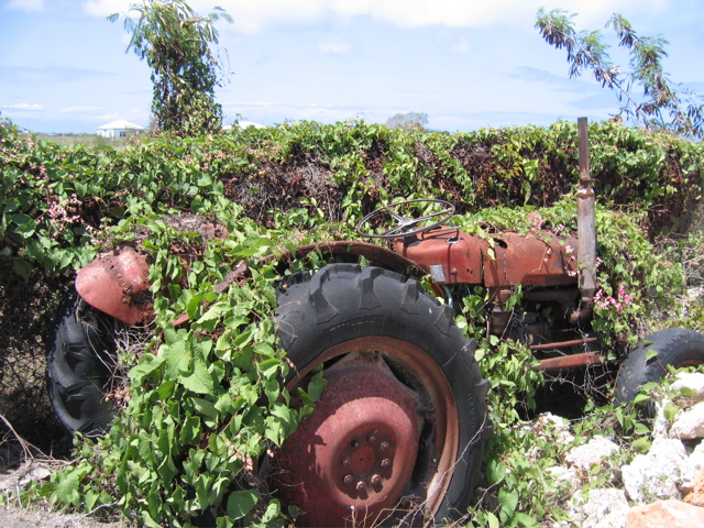 Tractor parked overnight