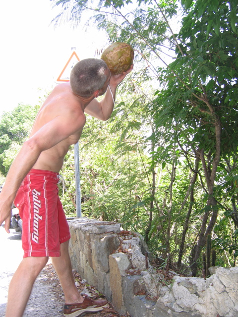 Ted drinking Coconut