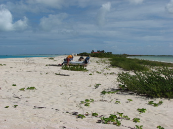 Crossing the beach to Codrington Lagoon (T)