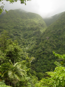 Near the summit (MP)