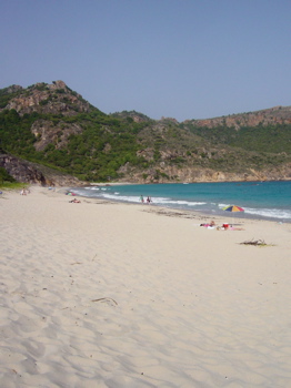 Anse de Grande Saline (MP)