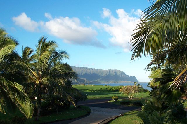 View from the Whale House