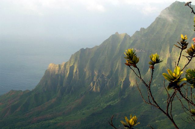 Kalalau View