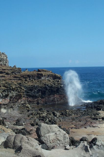 Blowhole