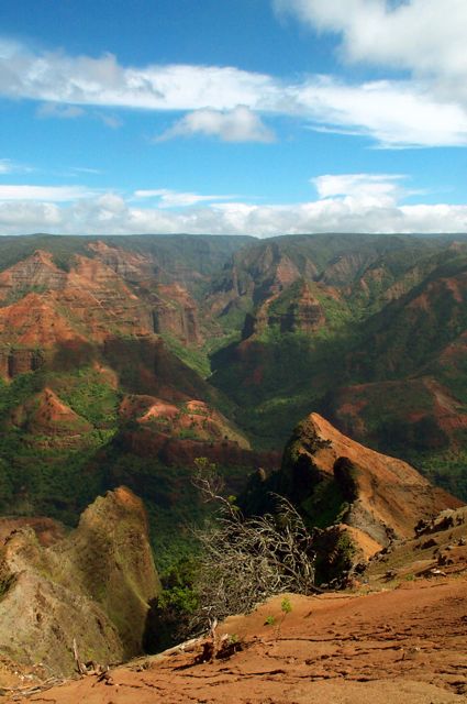 Waimea Canyon