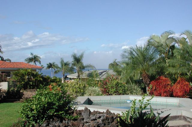 Robin's awesome house and pool