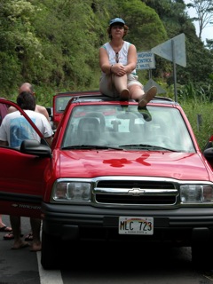 Linda, road to Hana (Ted)