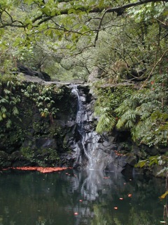 Road to Hana