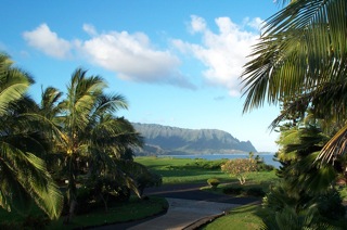 View from the Whale House