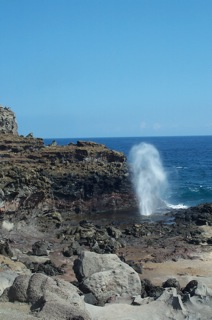 Blowhole