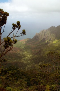 Kalalau View
