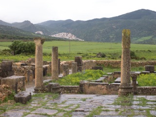 Volubilis (pic by Jen)