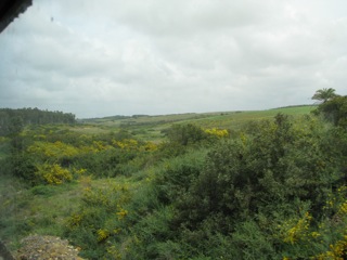 Pennsylvania?  No, Africa.