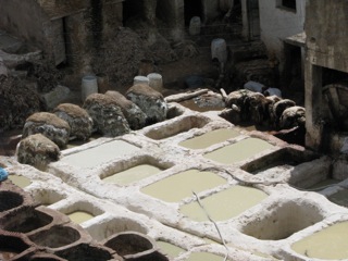 Soak the hides in pigeon droppings