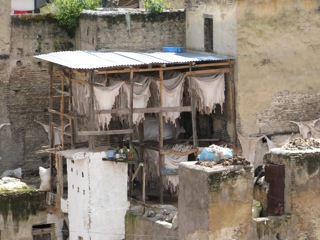 Sheep hides on the rack