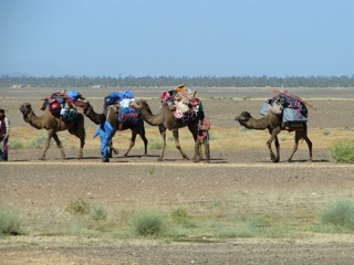 Real live caravan (pic by Jan)