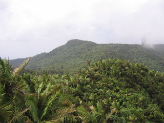 El Yunque