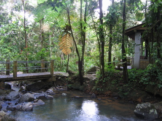 El Yunque Facilities