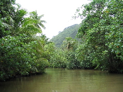 SG_Faaroa_River1