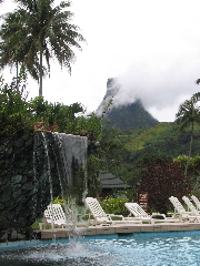 SG_Moorea_Pool