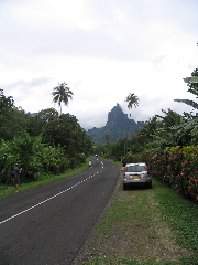SG_Moorea_Drive1