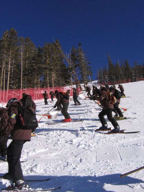 Lots of snow to clear