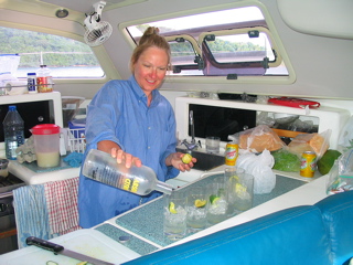 Suzanne demonstrating core competency