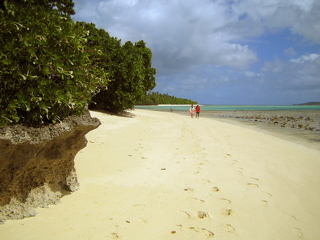 Walking Taunga Island