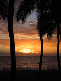 The final sunset in paradise