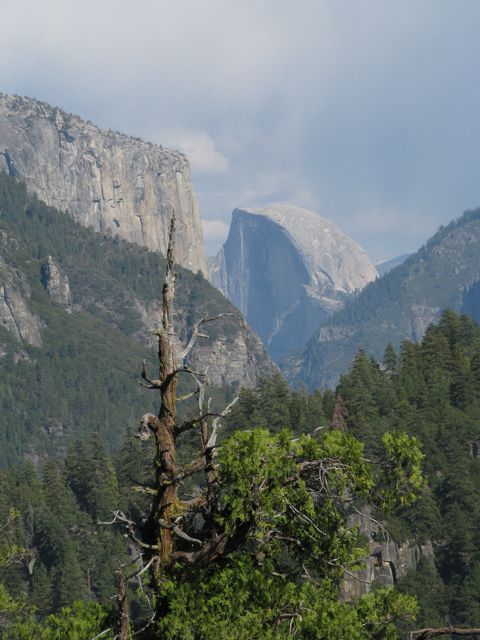 View from Big Oak Flat Road